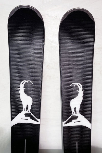 DIFFERENCES RX   170 cm; SWISS SKI